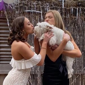 Meet your Posher, Sydney